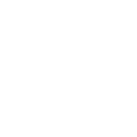 PinTalentLogo